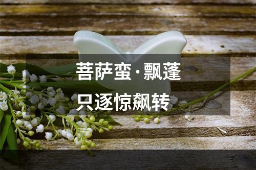 菩萨蛮·飘蓬只逐惊飙转