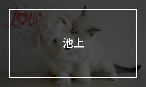 池上