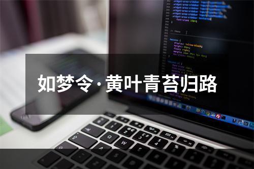 如梦令·黄叶青苔归路