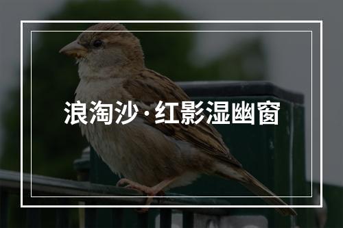 浪淘沙·红影湿幽窗