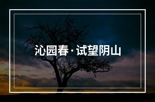 沁园春·试望阴山