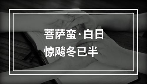 菩萨蛮·白日惊飚冬已半