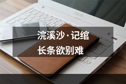 浣溪沙·记绾长条欲别难