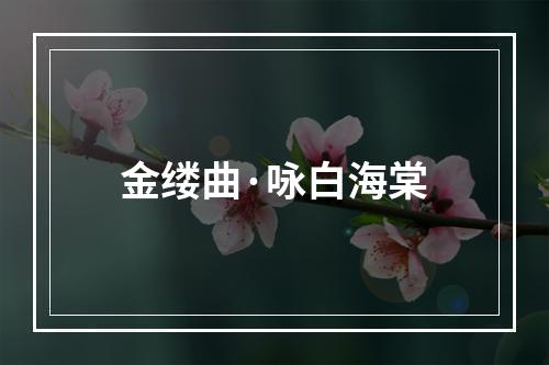 金缕曲·咏白海棠