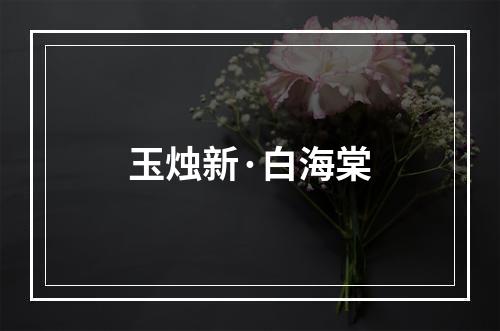 玉烛新·白海棠