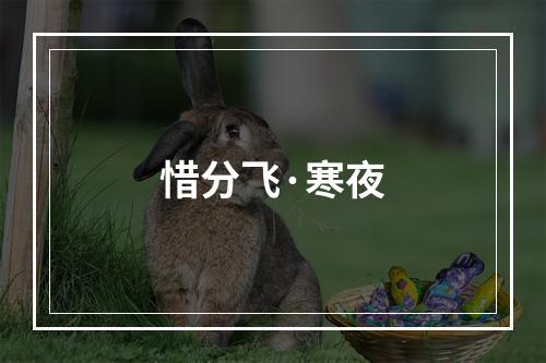 惜分飞·寒夜