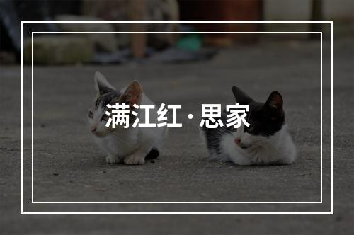 满江红·思家