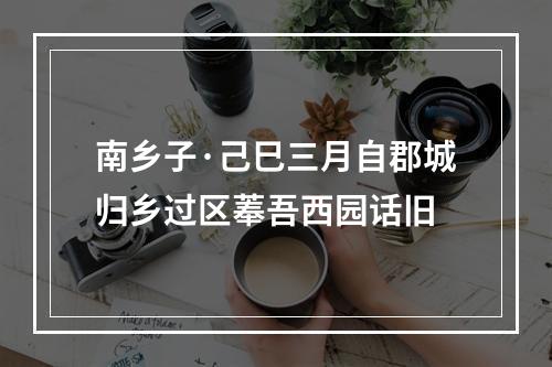 南乡子·己巳三月自郡城归乡过区菶吾西园话旧