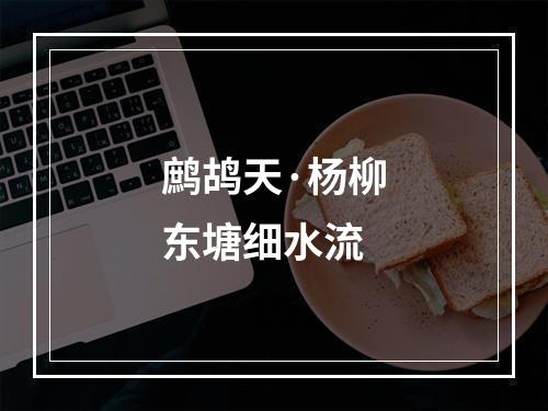 鹧鸪天·杨柳东塘细水流