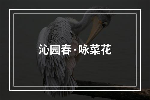 沁园春·咏菜花