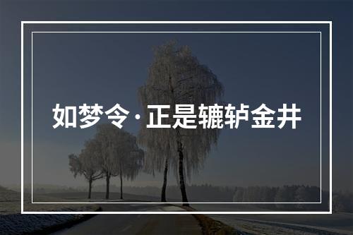 如梦令·正是辘轳金井