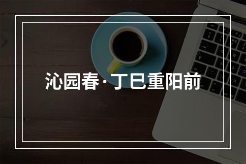 沁园春·丁巳重阳前