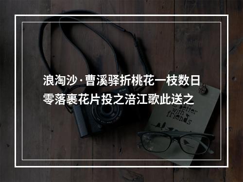 浪淘沙·曹溪驿折桃花一枝数日零落裹花片投之涪江歌此送之