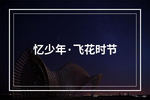 忆少年·飞花时节