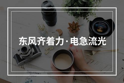 东风齐着力·电急流光