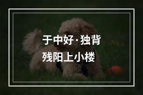 于中好·独背残阳上小楼