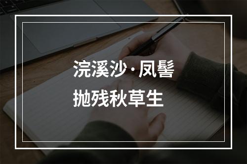浣溪沙·凤髻抛残秋草生