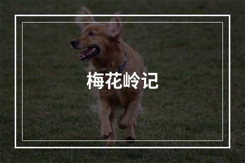 梅花岭记