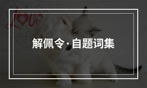 解佩令·自题词集