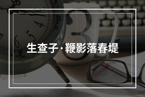 生查子·鞭影落春堤