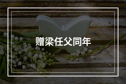 赠梁任父同年