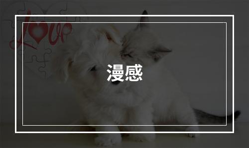 漫感