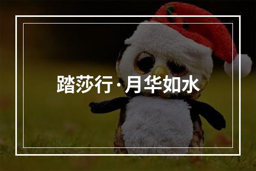 踏莎行·月华如水