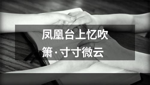 凤凰台上忆吹箫·寸寸微云