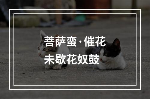 菩萨蛮·催花未歇花奴鼓