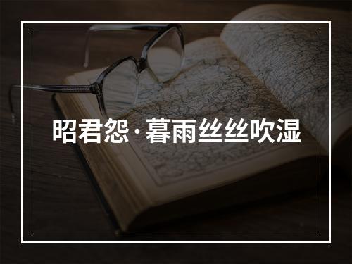 昭君怨·暮雨丝丝吹湿