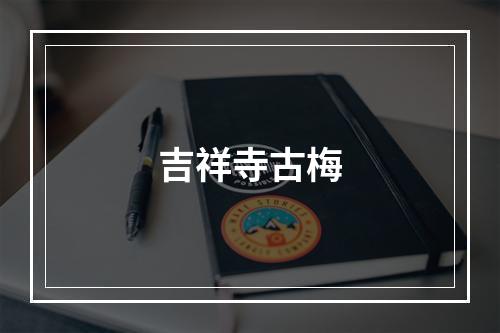 吉祥寺古梅