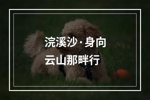 浣溪沙·身向云山那畔行
