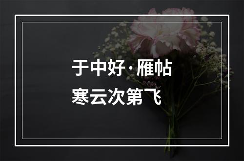 于中好·雁帖寒云次第飞
