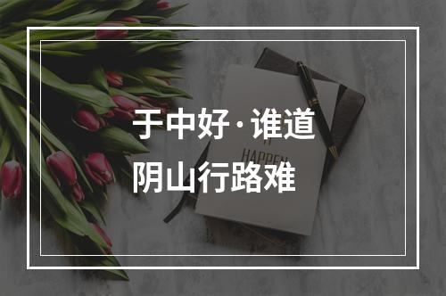 于中好·谁道阴山行路难