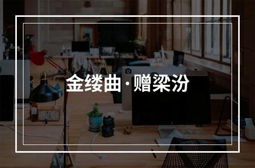 金缕曲·赠梁汾