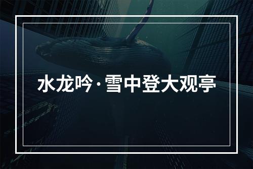 水龙吟·雪中登大观亭