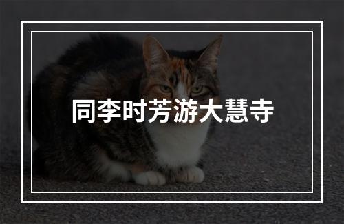 同李时芳游大慧寺