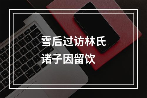 雪后过访林氏诸子因留饮