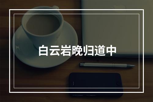 白云岩晚归道中