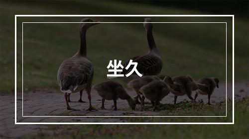 坐久