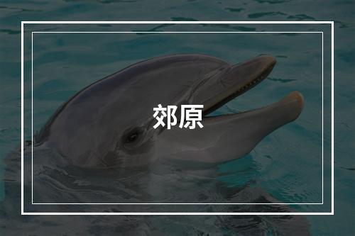 郊原