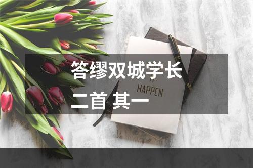 答缪双城学长二首 其一