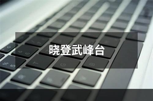 晓登武峰台