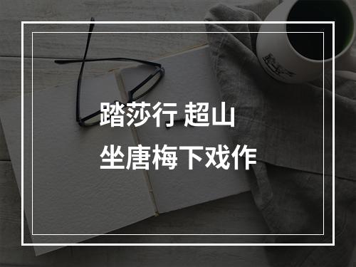 踏莎行 超山坐唐梅下戏作