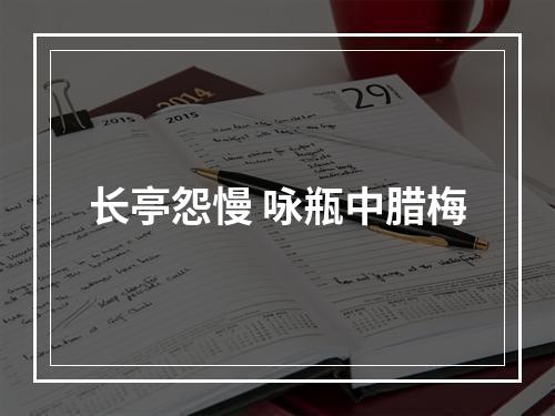 长亭怨慢 咏瓶中腊梅