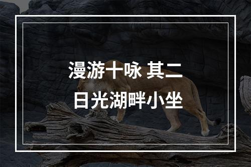 漫游十咏 其二 日光湖畔小坐