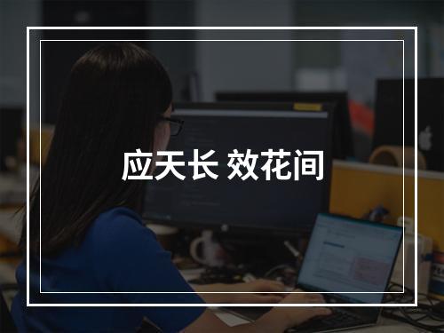 应天长 效花间