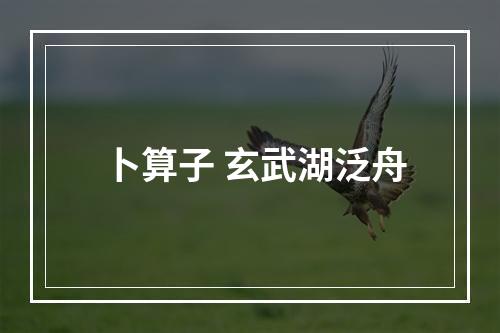 卜算子 玄武湖泛舟