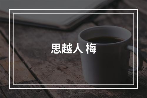 思越人 梅
