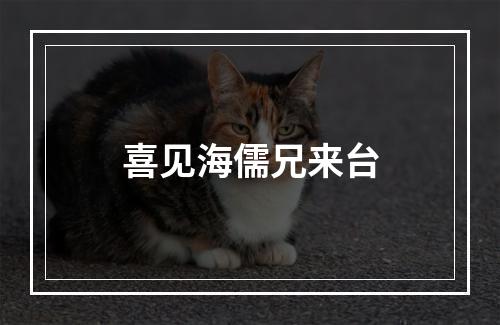 喜见海儒兄来台
